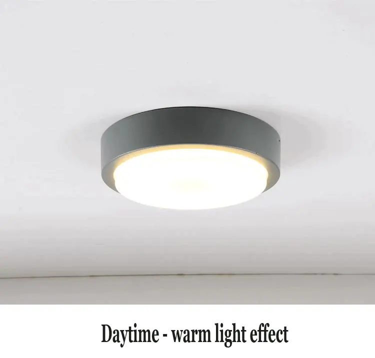 WECUS) Наружный влагозащитный/антимоскитный потолочный светильник, светодиодный светильник для виллы, двора, коридора/балкона/прохода/ванной комнаты/потолочный светильник в кухню