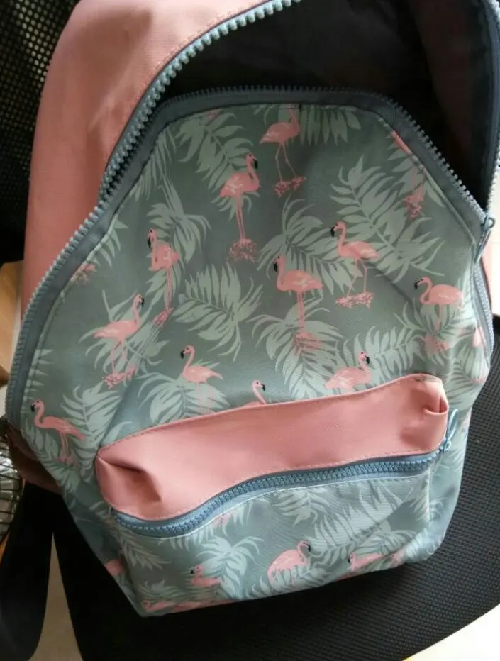 Rdywbu корейский 3D Фламинго мультфильм печати рюкзак сшивание Цветочный Повседневная ежедневная дорожная сумка подростков школьная сумка Mochila H141