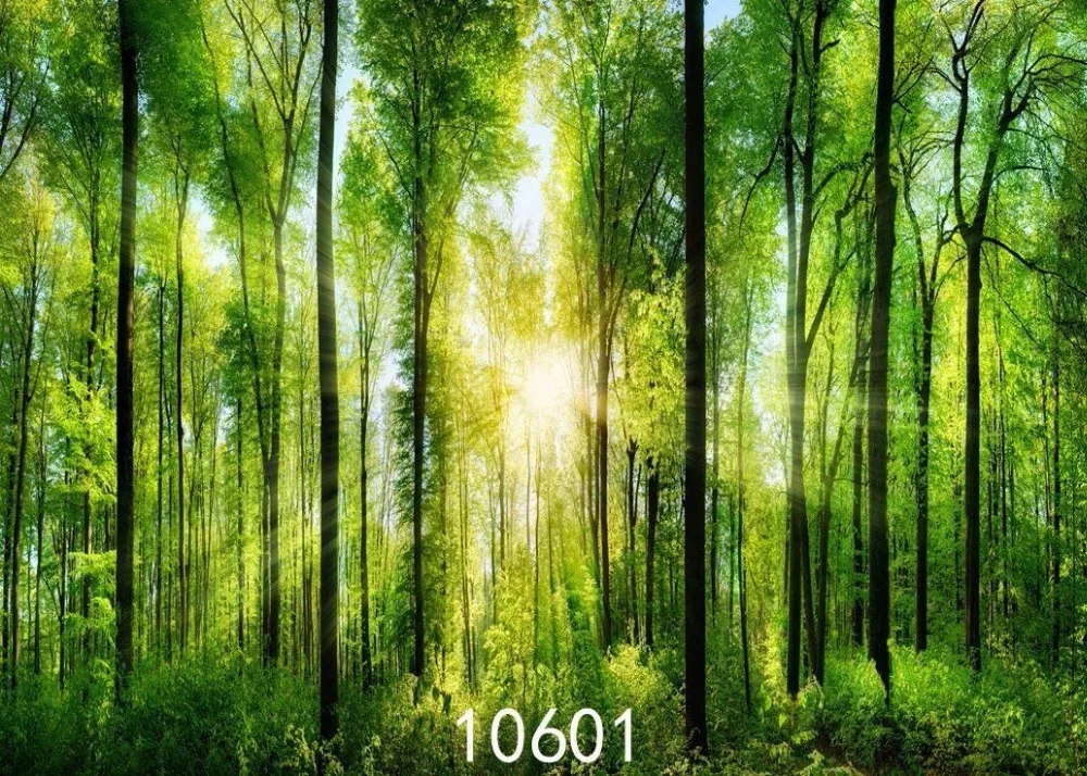 YU065