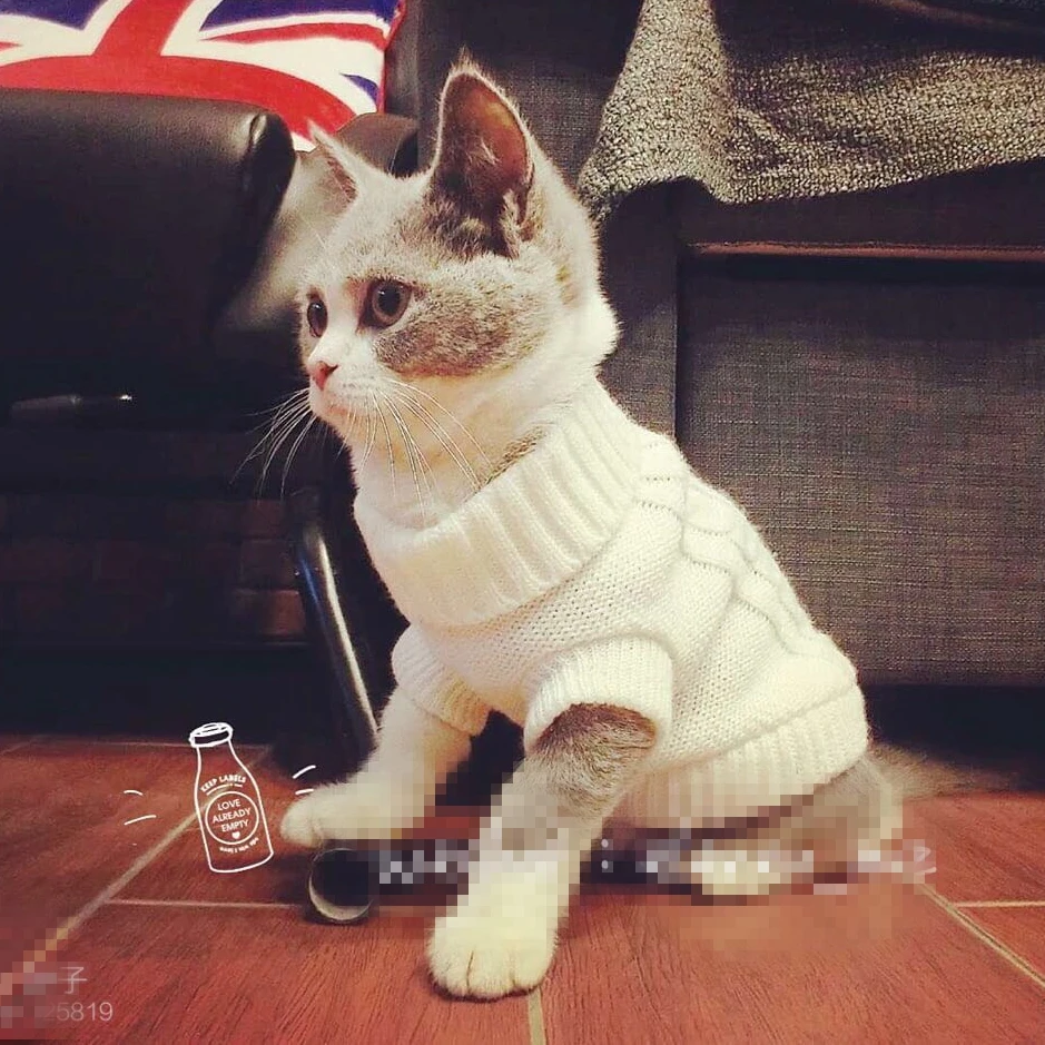 [MPK Store] SWA свитер для питомцев кошек и собак, свитер для собак 7 размеров и 9 цветов, свитер для французского бульдога