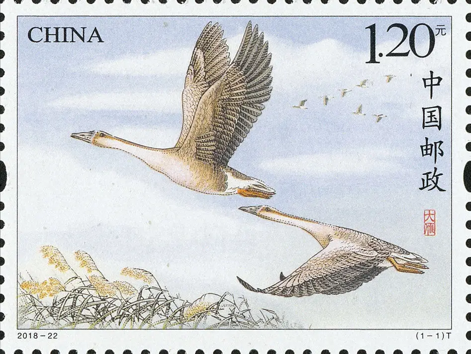Новый китайский почтовый штамп 2018 22 новые штампы Wild Goose MNH|Штампики| |