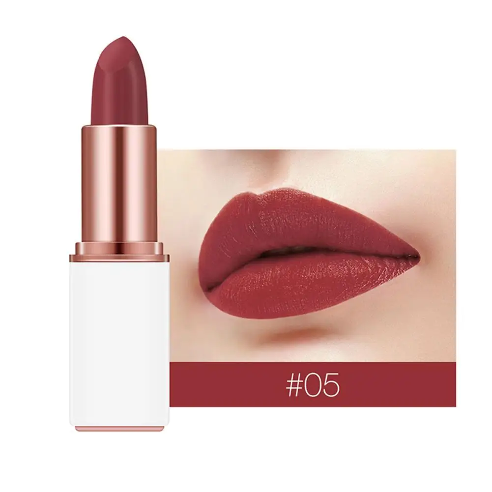

1 Pcs Velvet Matte Lipstick Anti-Fouling Lip Gloss Hot Sales Waterproof Nude Matte Velvet Glossy Lip Gloss Lipstick Lip Balm