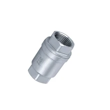 1-1/" BSP внутренняя резьба 304 Нержавеющая сталь прямой обратный клапан односторонний обратный клапан для воды, нефти, газа