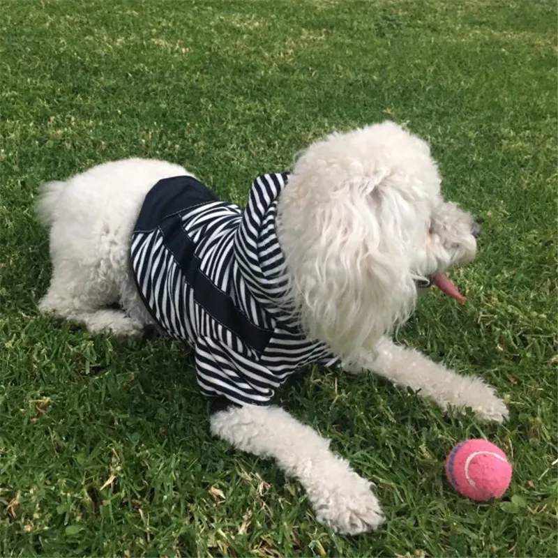 Dog Clothes Stripe Hoodies Warm Pet Coat Outfit for Small Large Dogs Chihuahua Clothing Golden Retriever Coat Jacket16