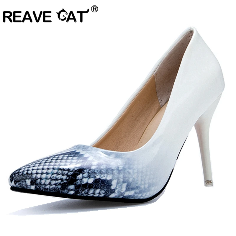 heel cat