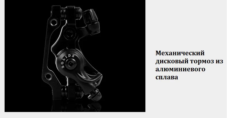electric snow bike (2)