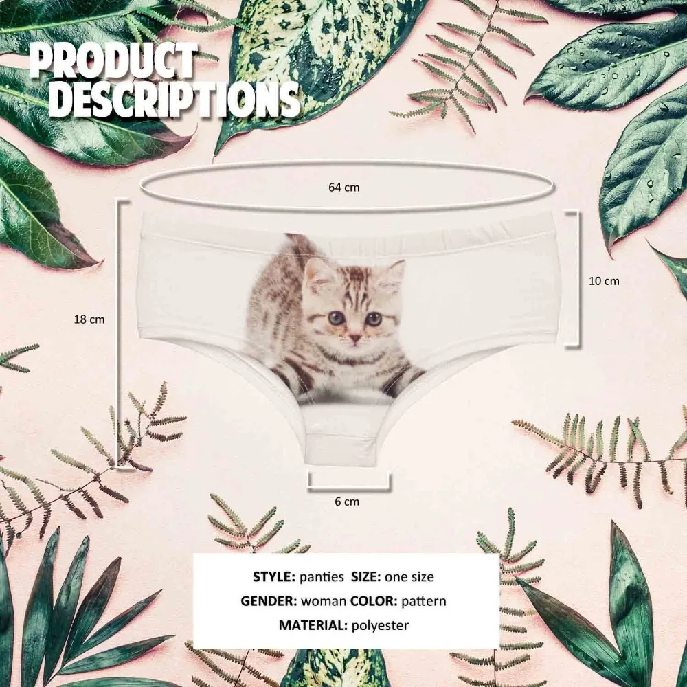 37067 YOUNG KITTEN (1)