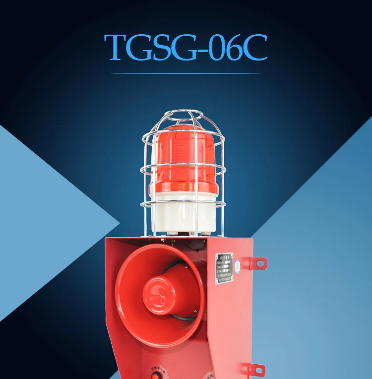 TGSG-06C_01