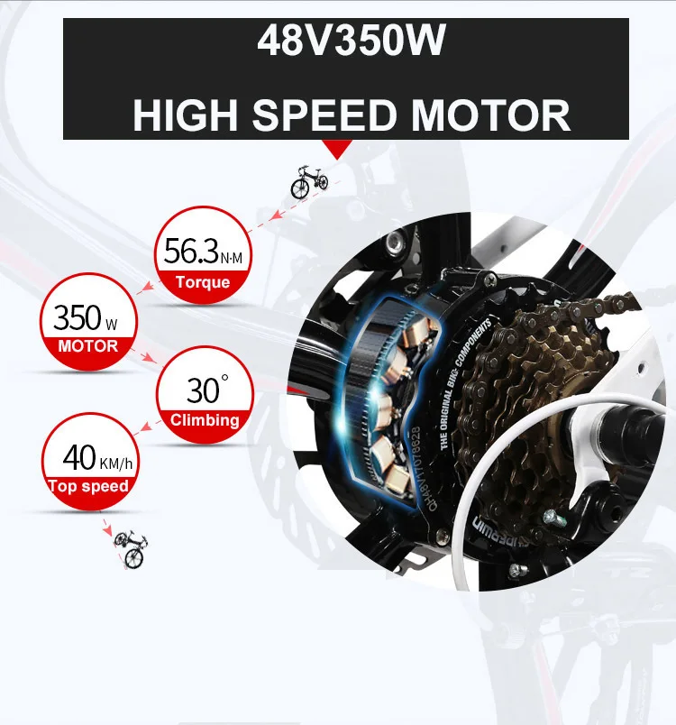 Cheap 24 Mountain Electric Brushless Motor 350w High-speed Intelligent Lcd 48 V Double Lithium Battery Top Speed45km Range 80-100 Km 10