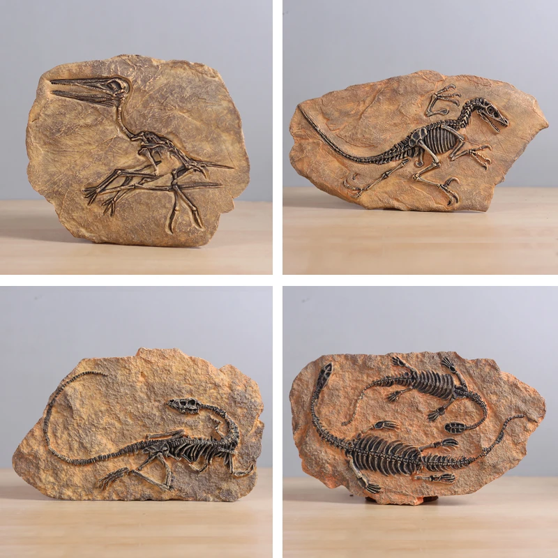retro dinozor fosil recine heykeli duvar asili jurassic dinozor kafatasi heykel olarak sahte tahnitcilik ev dekorasyon aksesuarlari wall hanging accessories accessoriesaccessories decorative aliexpress