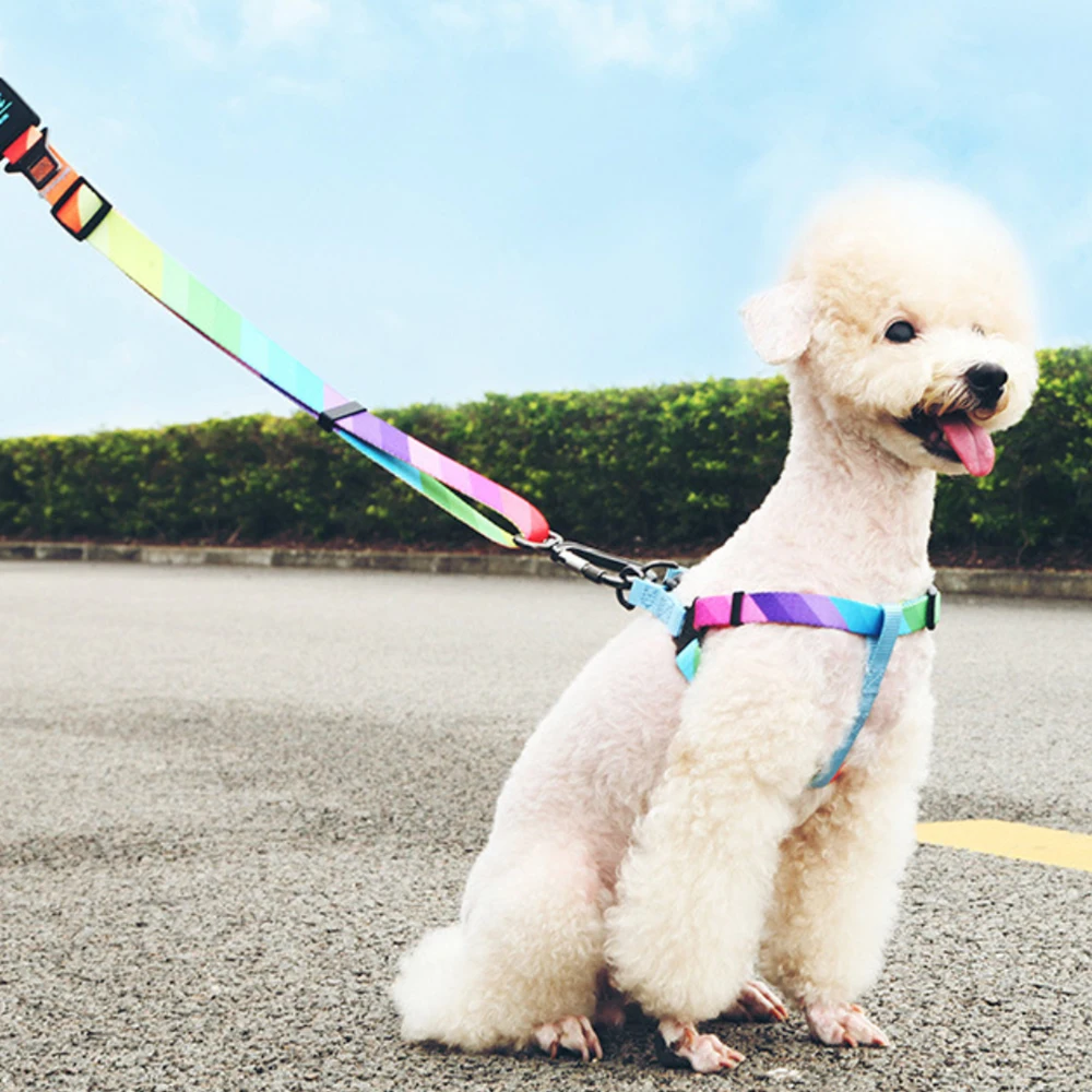 

Pet Dog Leash Comfortable Leather Control Leash For Small Medium Large Dog Pitbull Walking Dog Leash Car Seat Belt