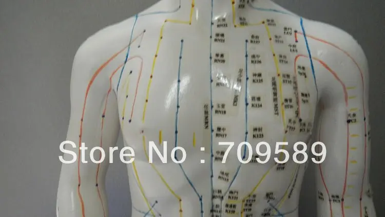 Профессиональная медицинская акупунктура 70 см модель анатомии|acupuncture model|model