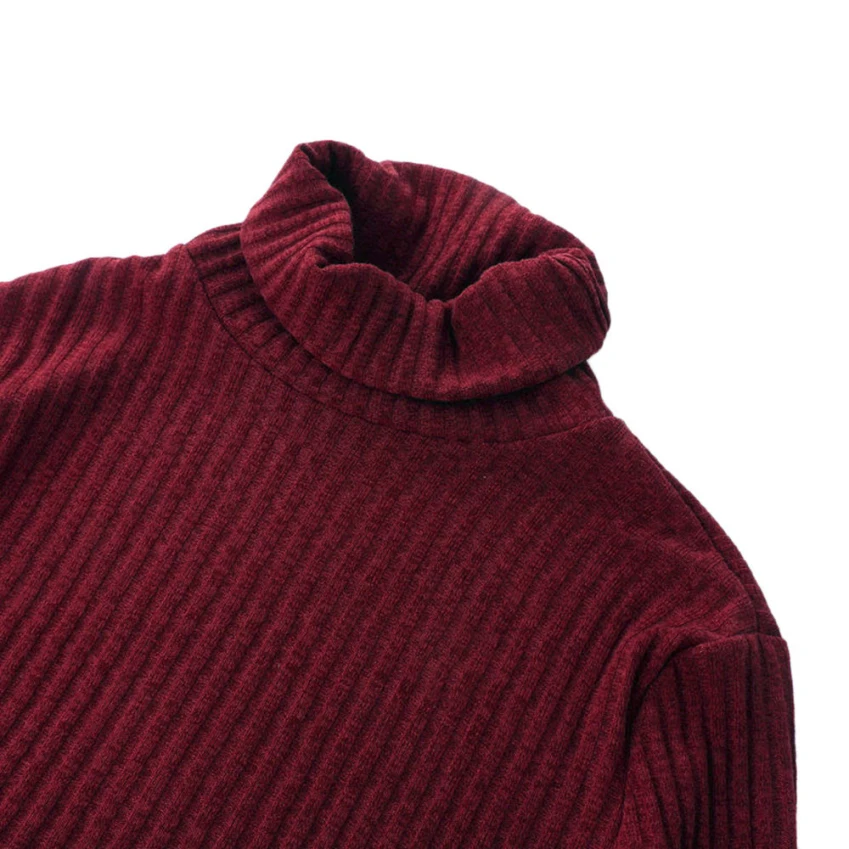 Wine Casual Long Sleeve Jumper Turtleneck Sweaters - Shops Hive
