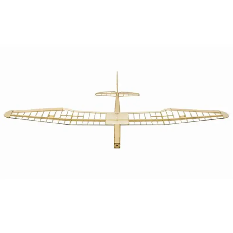Модернизированный Sunbird V2.0 1600 мм размах крыльев пробкового дерева RC самолет