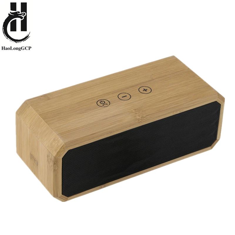 DS-20 Speaker HL