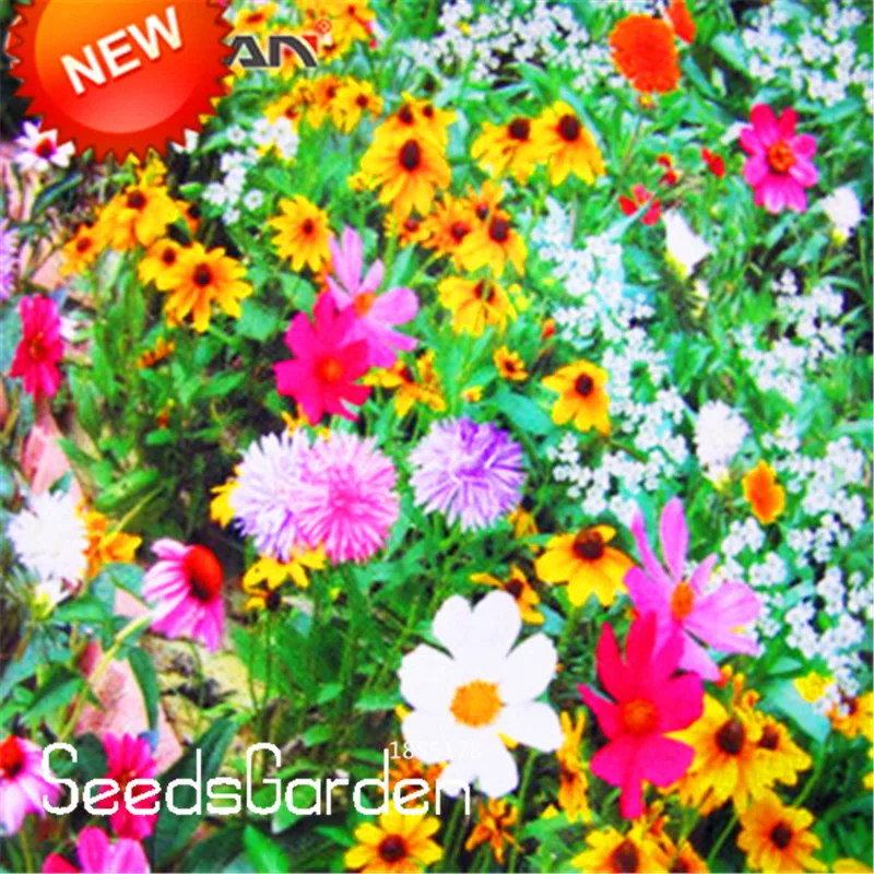 

New 2018!200 flores/bag Combination bonsai Perennial Flower Planting Mixed Wildflower garden Aromatic Fragrant,#WNU4UR