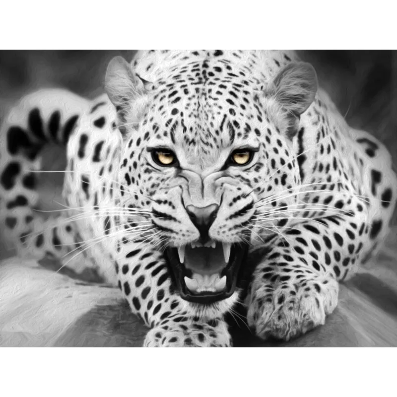 

DIY Acrylic Painting By Numbers Hand Painted On Canvas Modern Wall Picture For Living Room Home Decor Wall Art Of Leopard