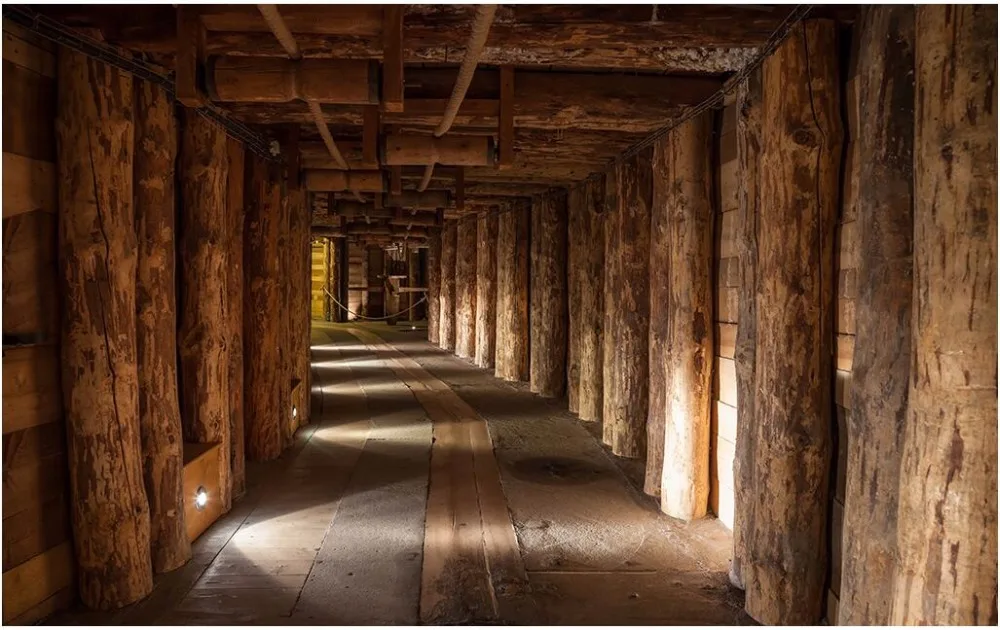 Custom mural photo 3d wallpaper Wood trees expand the space background wall painting 3d wall murals wallpaper for walls 3 d