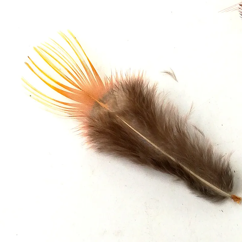 IMG_20181205_140457_