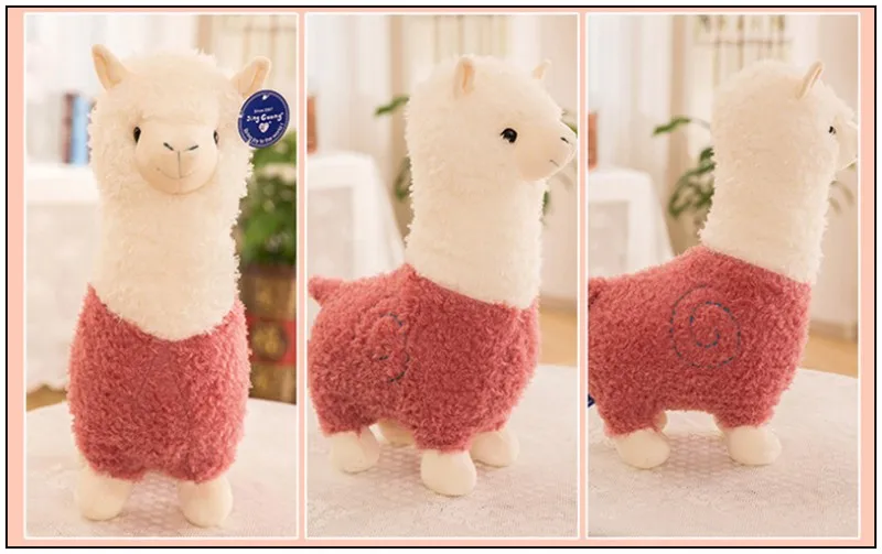 conew_aa9325 (8)