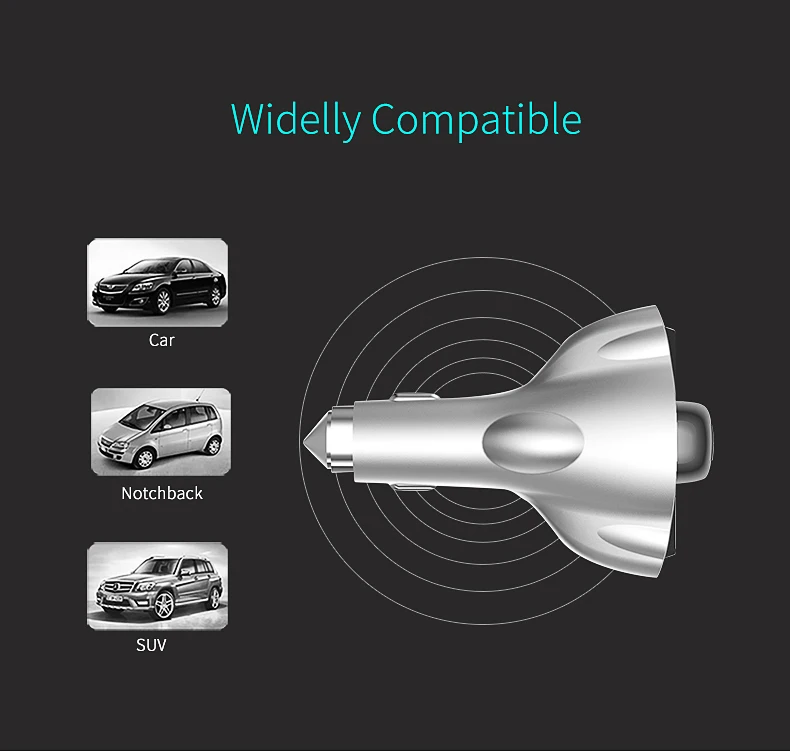 WP303 (8)