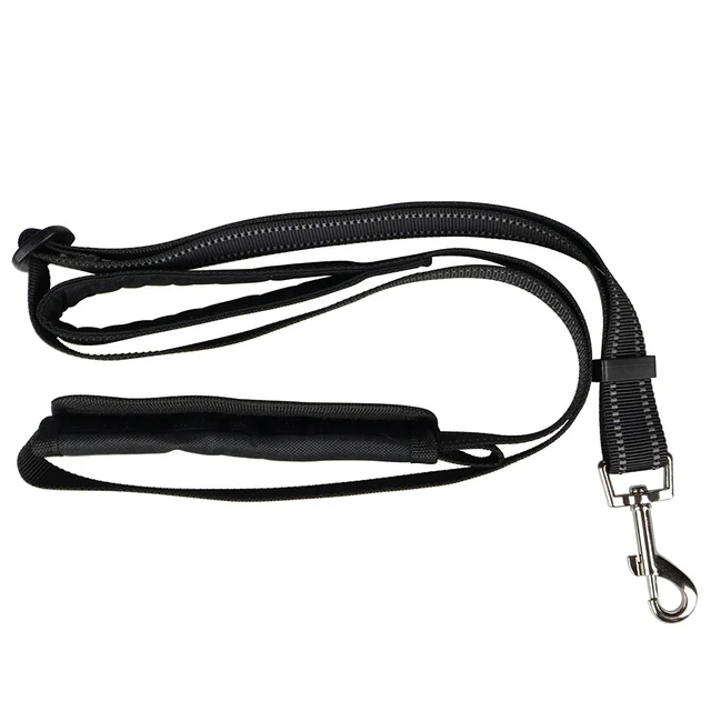 Top 93+ Wallpaper Dog Leashes For Cars Sharp