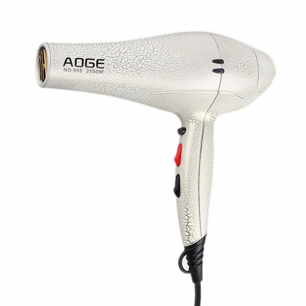 2500W Low Noise Electric Hair Dryer Black Professional Ultra Quiet Blow