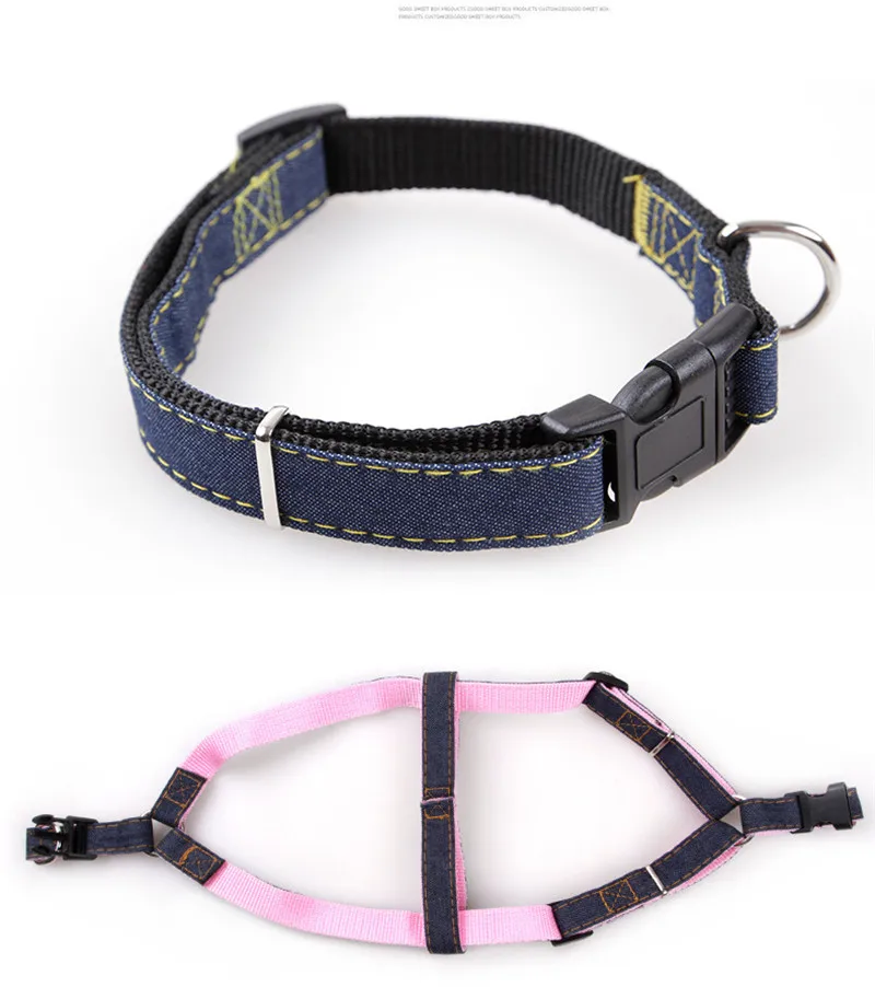 harness leash (1)