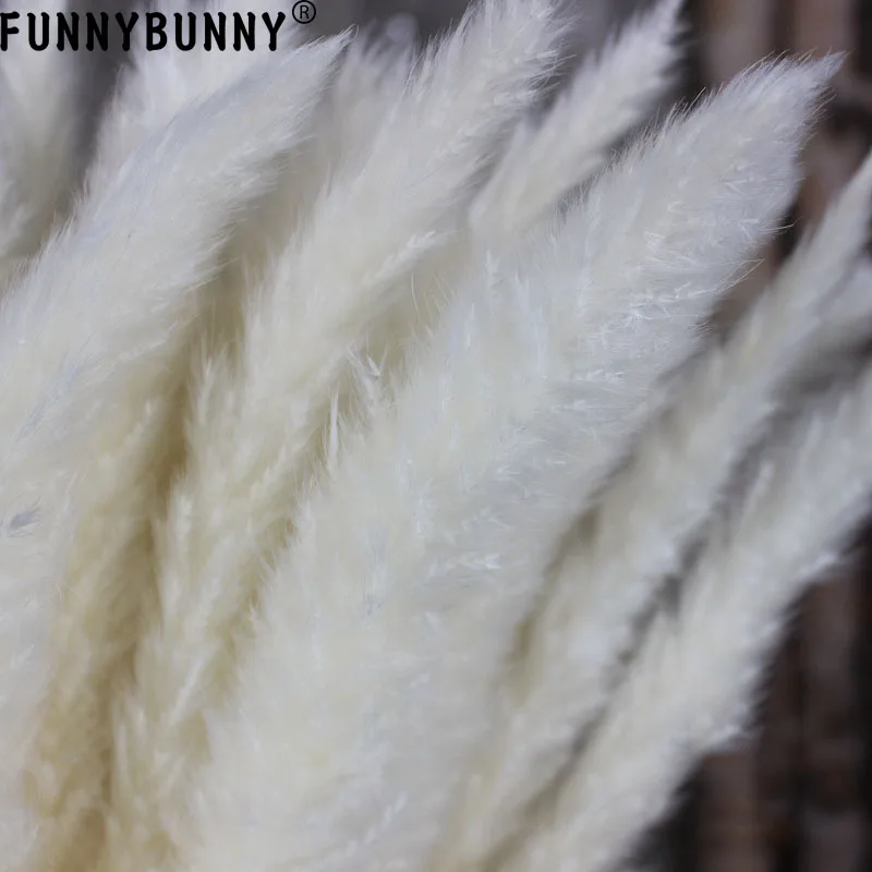 FUNNYBUNNY 15 шт. Натуральные Сушеные маленькие пампасы трава Phragmites Communis свадебные