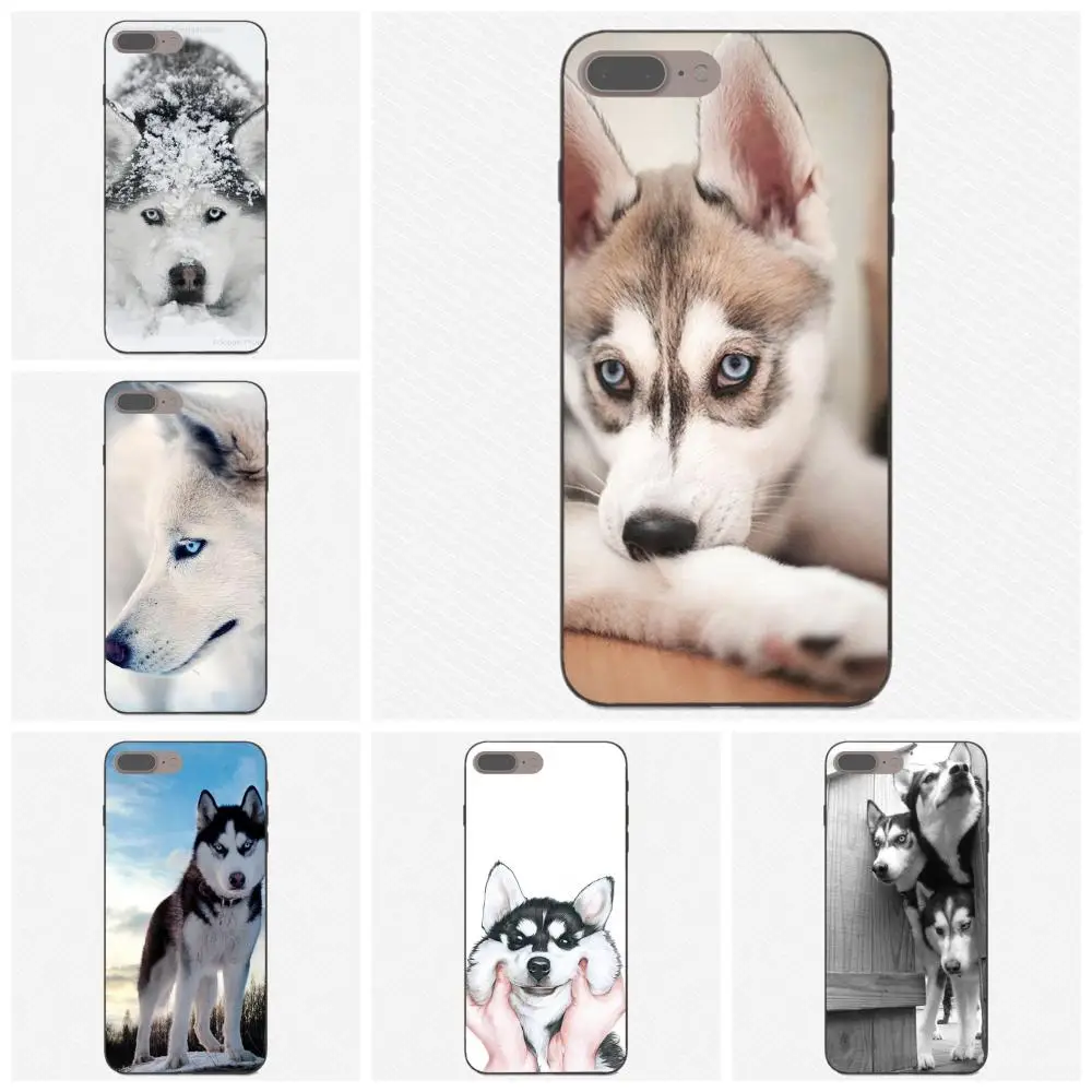 

Sexy Siberian Husky Lovely Dog Pattern For Galaxy C5 C7 J1 J2 J3 J330 J5 J6 J7 J730 2017 Ace Core Duo Max Mini Plus Prime Pro