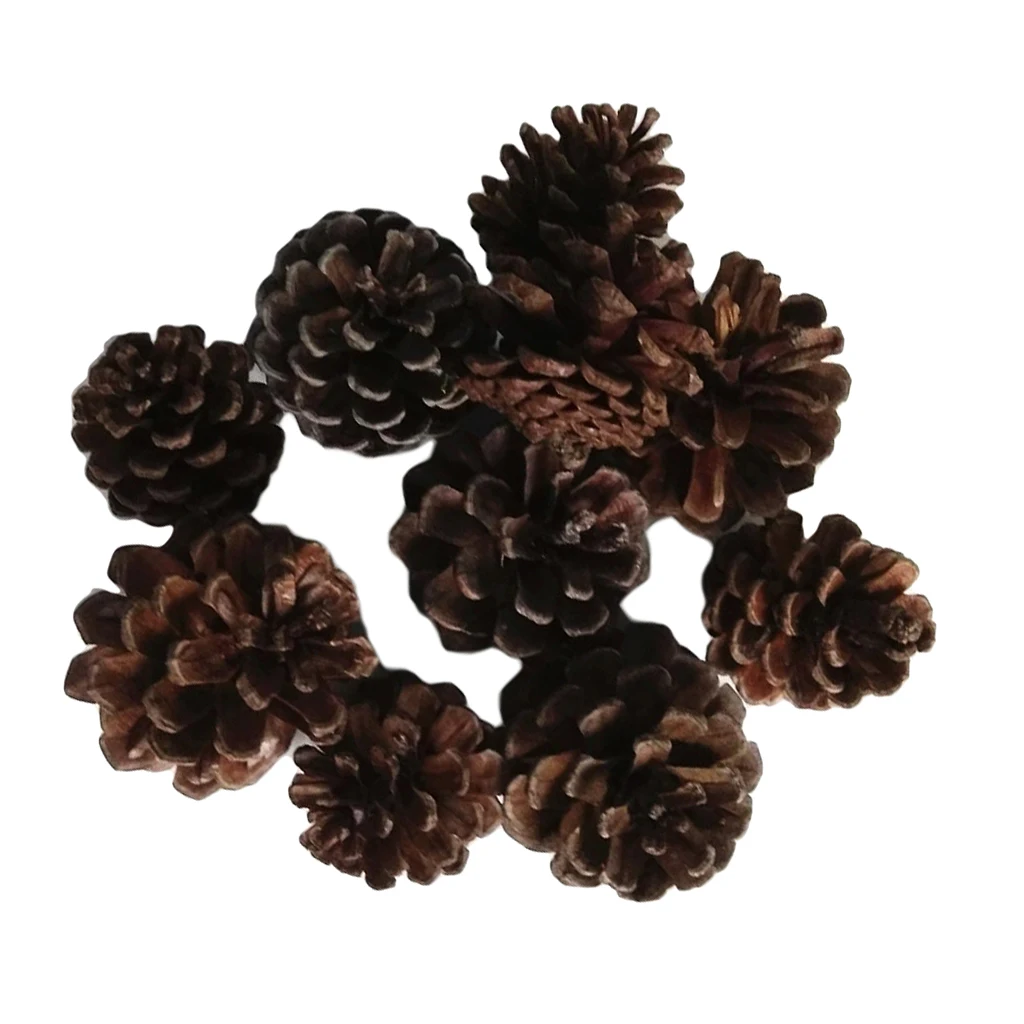 10pcs Natural Pine Cones In Bulk Dried Flowers Table Ornament for Home Christmas Decoration DIY Floral Craft Arrangement