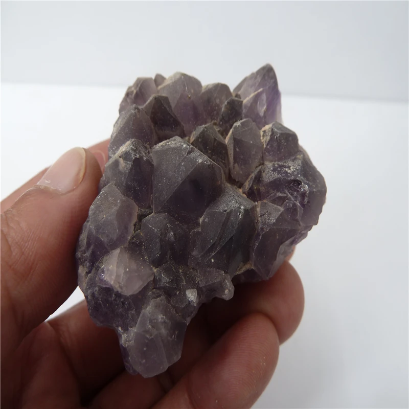 P1500457