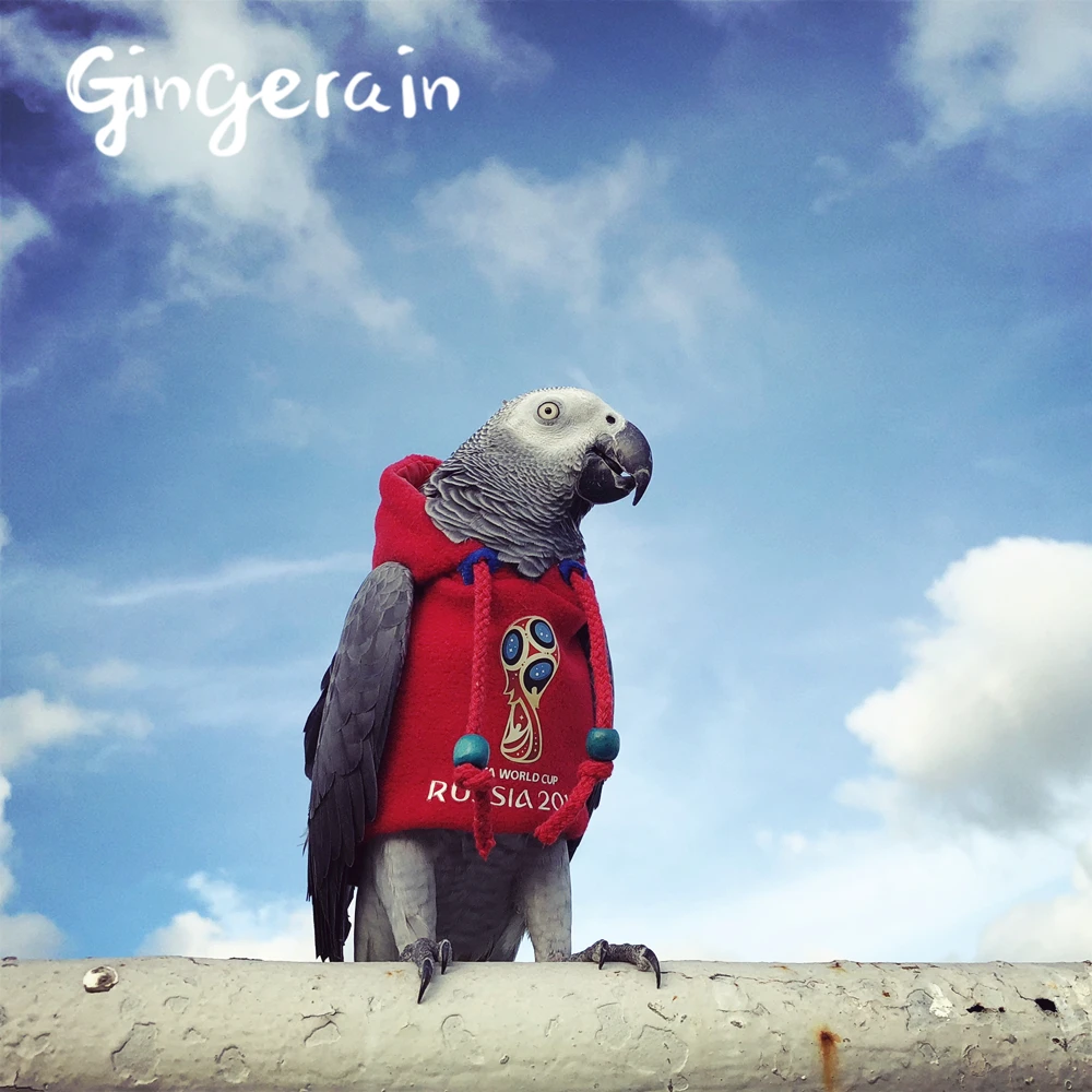 Gingerain одежда с птицами попугай футбол оригинальный ручной работы на заказ свитер