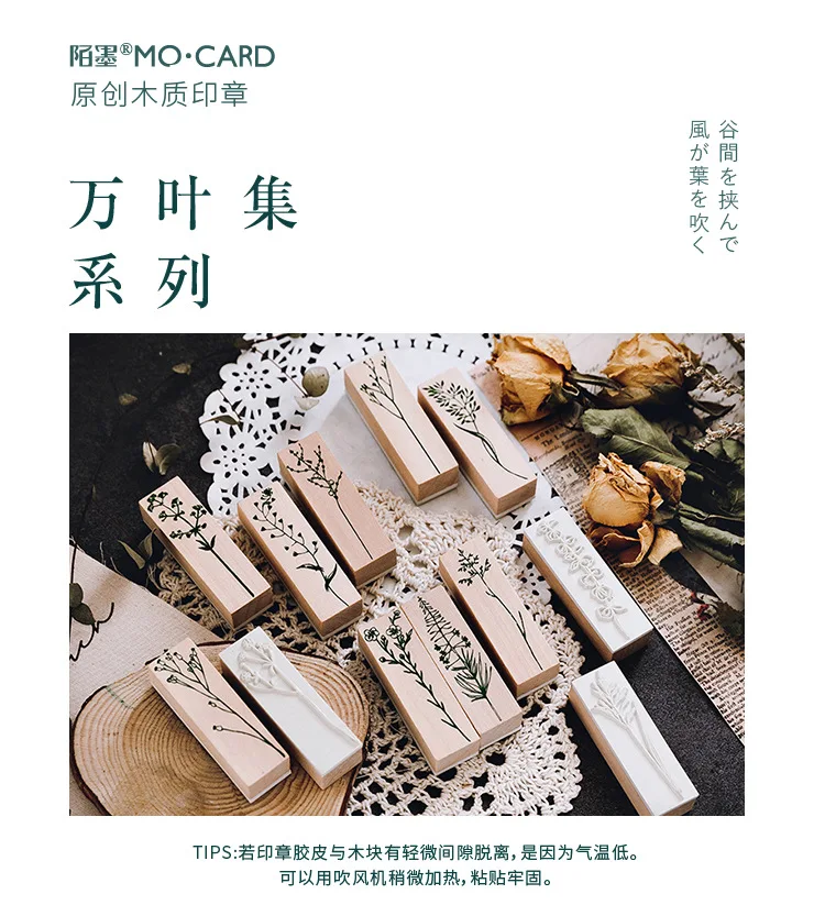 //cbu01.alicdn.com/img/ibank/2018/002/210/9727012200_1057887383.jpg