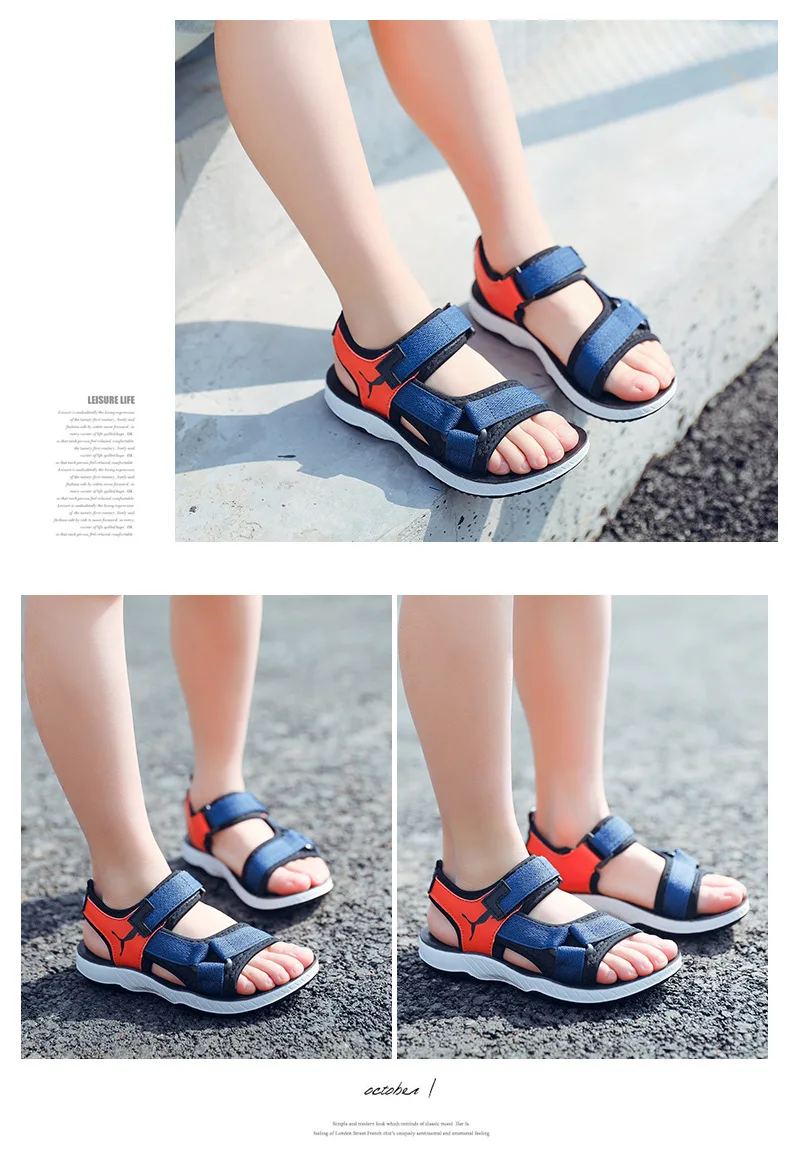 8588666411_1919636530