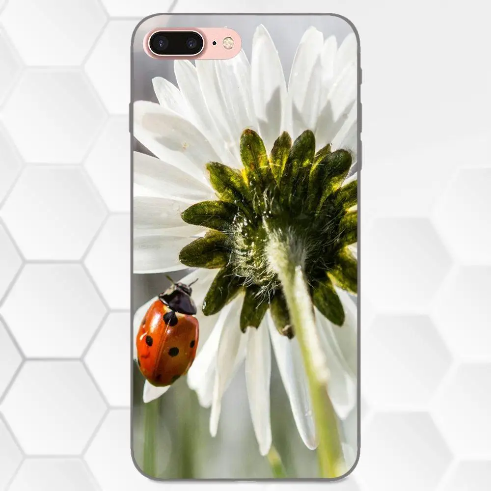 Для Apple iPhone 4 4S 5 5S SE 6 6S 7 8 Plus X XS Max XR мягкий силиконовый чехол из ТПУ с рисунком милой