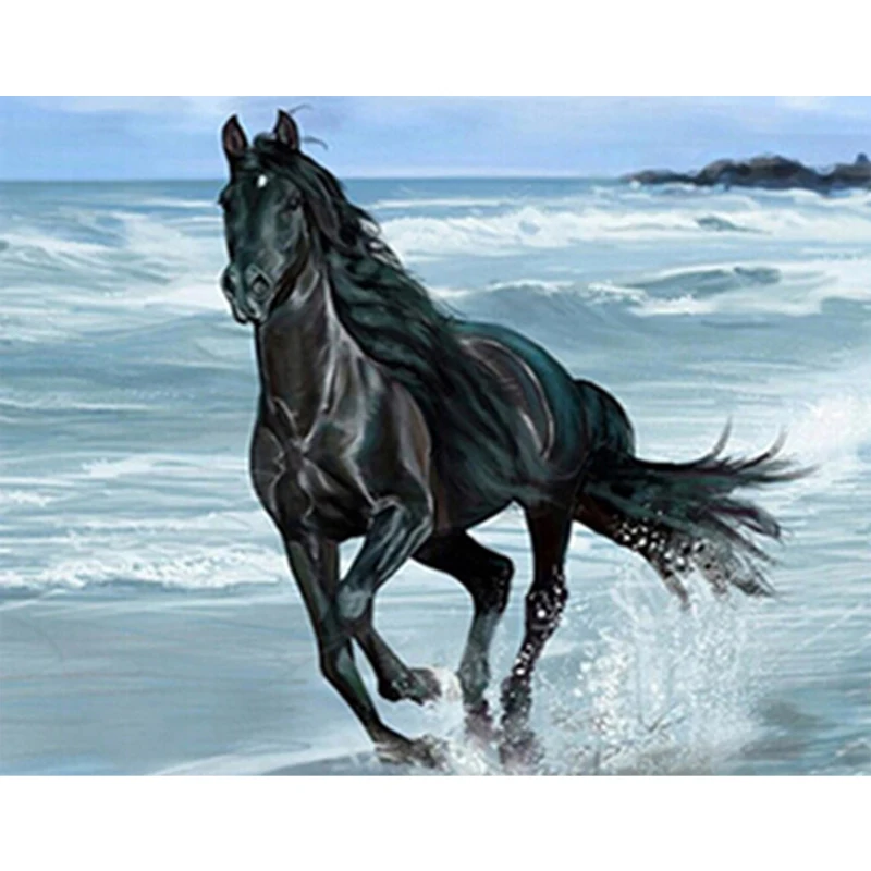 Get Il Cavallo Nero In Riva Al Mare 5d Diy Diamante Pittura A Punto For Android Get Wallpaper Il Cavallo Nero In Riva Al Mare 5d Diy Diamante Pittura A Punto Free HD