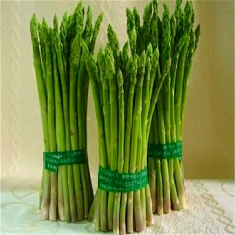 

200Pcs Asparagus Organic Heirloom Rare Green Vegetable Perennial Garden small luck Bamboo home plant flower pot planters 50