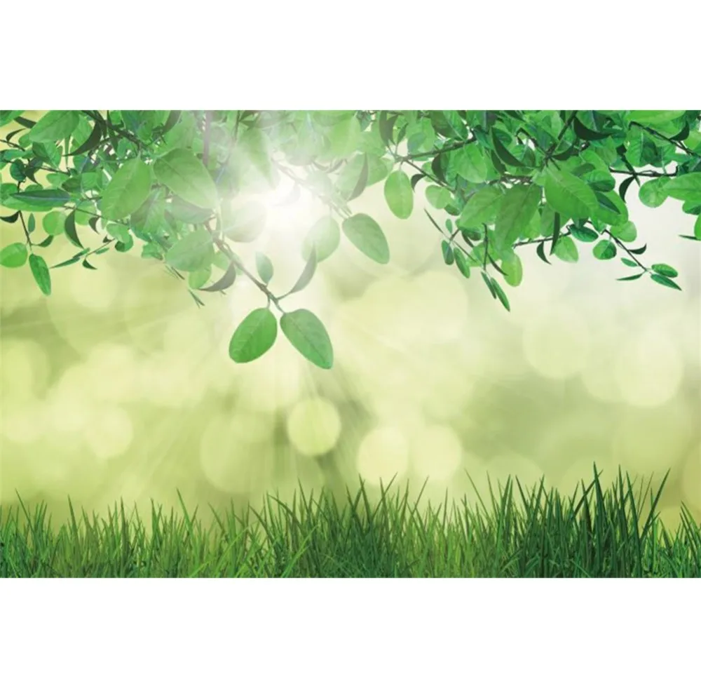Laeacco Spring Green Leaves Grass Light Bokeh Baby Natural Scene Photographic Backgrounds Photography Backdrops For Photo Studio Laeacco Spring Green Leaves Grass Light Bokeh Baby Natural Scene Photographic Backgrounds Photography Backdrops For Photo Studio