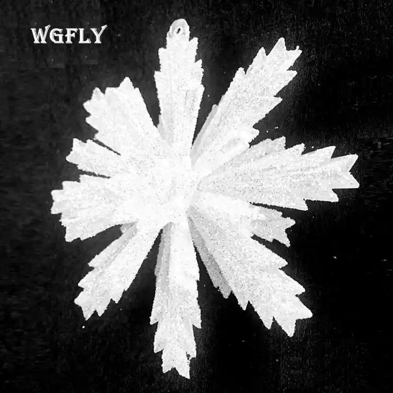 www (6)