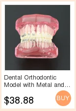 Стоматологическая Учебная модель стандартная модель съемные зубы мягкая резинка для взрослых