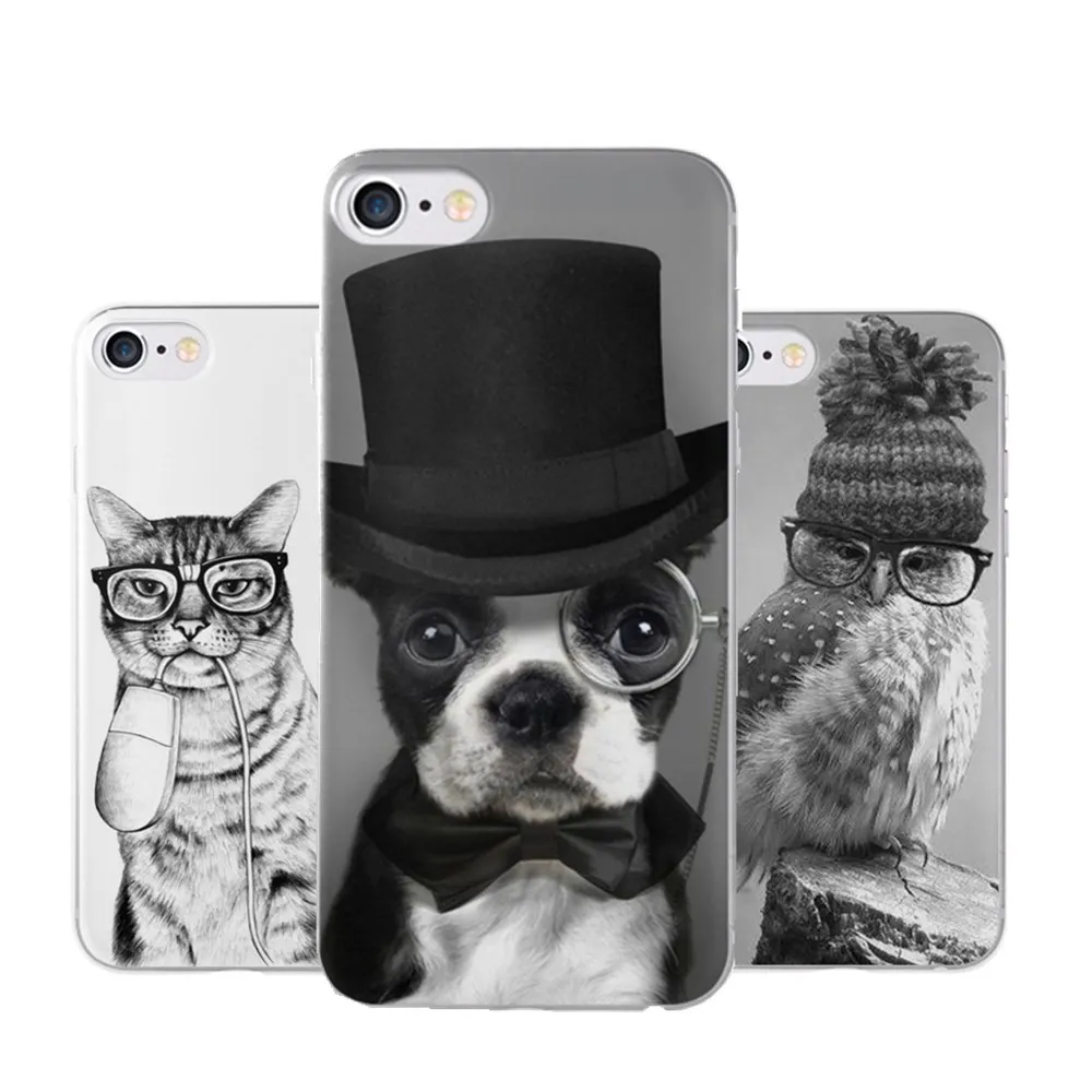 coque huawei p8 lite 2017 chaton coque huawei p8 lite 2017 chaton