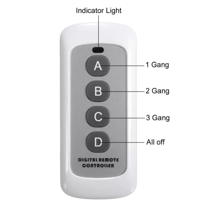 RF Remote Controller (2)