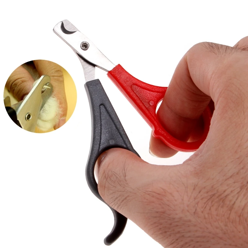 

Pet Dog Cat Nail Clippers Cutter Claw Grooming Scissors Trim Trimmers Toe Care Scissors G08 Great Value April 4