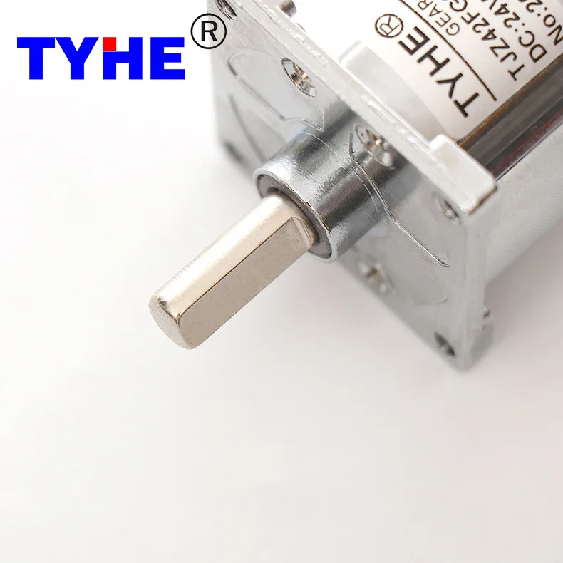 TJZ42FG Taihe скорость редуктор 42 мм Micro DC 12V24V Поворотный двигатель для барбекю