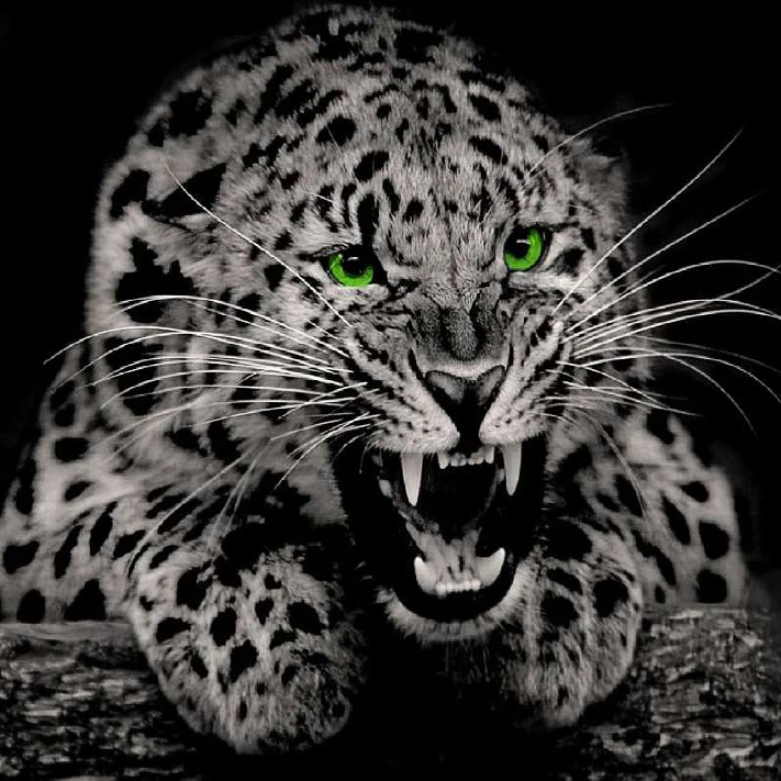 

New 3D DIY Diamond Painting Handwork Diamond Embroidery Leopard 100% Full Square Drill Mosaic Cross Stitch Decor Painting Gift