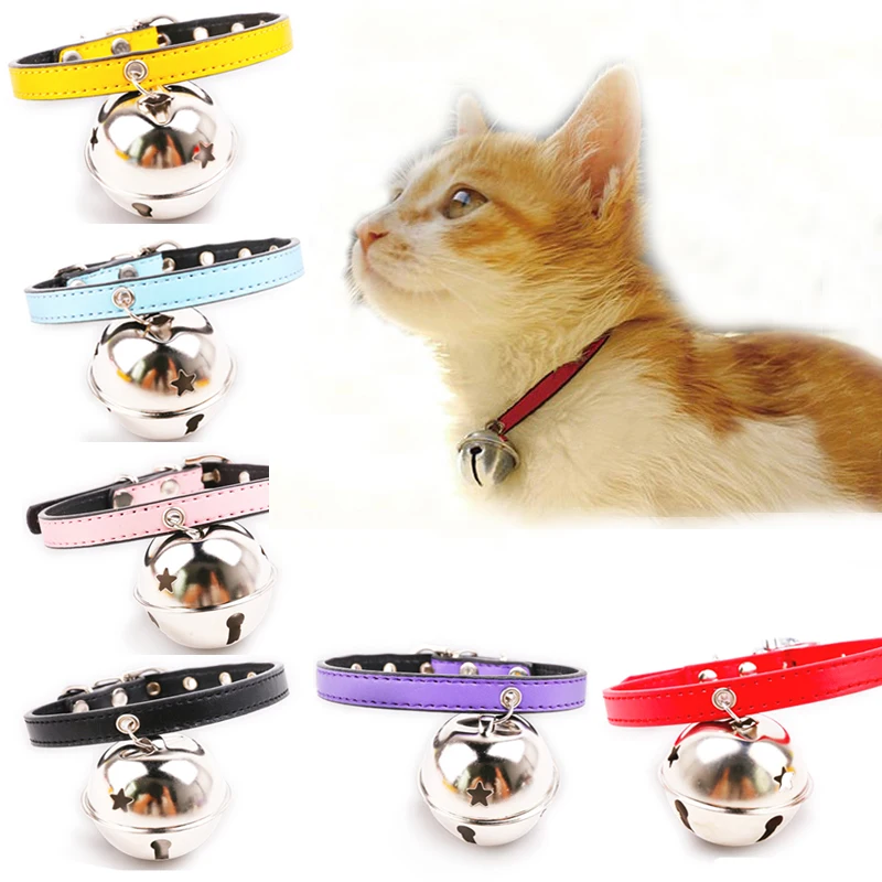 Big cat collar Clearance