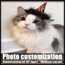 Полная Алмазная вышивка фото на заказ 5D DIY Алмазная картина вышивка крестиком девушка полная квадратная Алмазная мозаика животное собака кошка распродажа