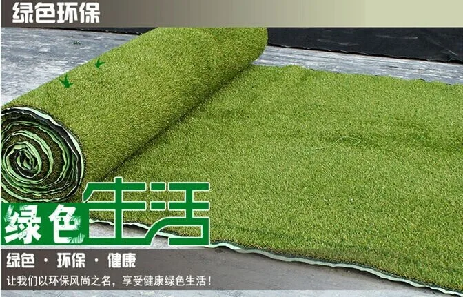 landscape grass (18)