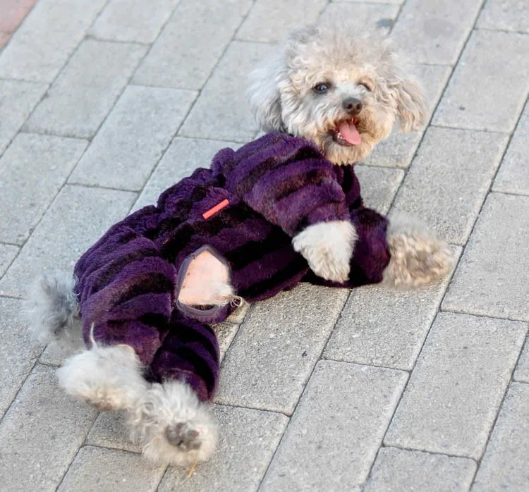 Утепленные теплые домашние животные Щенок Одежда для собак осень-зима комбинезон для собак Теплый мягкий подклад пальто для щенка Размер 8-18